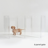 Hiddin Clear Freestanding Pet Gate Zig Zag | Options-Dog-Hiddin.co-4 Panel-PetPhenom