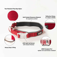 DGS Pet Products Comet Rechargeable Light Up Dog Collar Medium Red 16" - 20" x 0.75"-Dog-DGS Pet Products-PetPhenom