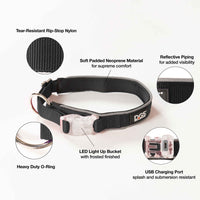 DGS Pet Products Comet Rechargeable Light Up Dog Collar Large Black 20" - 25" x 1"-Dog-DGS Pet Products-PetPhenom