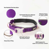 DGS Pet Products Comet Rechargeable Light Up Dog Collar Medium Purple 16" - 20" x 0.75"-Dog-DGS Pet Products-PetPhenom