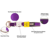 DGS Pet Products Comet Rechargeable Light Up Dog Collar Large Purple 20" - 25" x 1"-Dog-DGS Pet Products-PetPhenom