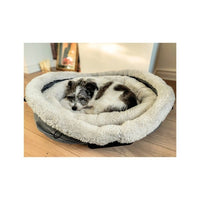 Bear Bear Pet Nest and Go Pet Bed and Carrier Gray 24" x 23" x 16"-Cat-Bear Bear Pet-PetPhenom