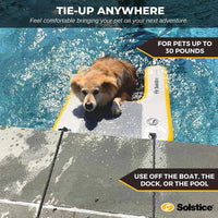 Solstice Inflatable Pup Plank Ramp Mini Grey/Yellow 34.5" x 24.5" x 3"-Dog-Solstice-PetPhenom