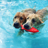 Ruff Dawg Flying Fish Dog Toy 9.5" x 3" x 1"-Dog-Ruff Dawg-PetPhenom