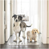 Hiddin Clear Freestanding Pet Gate Panel | Options-Dog-Hiddin.co-30"W x 30"H-PetPhenom