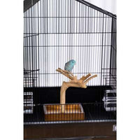 Prevue Pet Products Coffeawood Tree Table Top X-small-Bird-Prevue Pet Products-PetPhenom