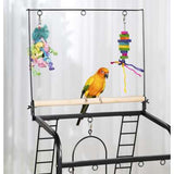 Prevue Pet Products Small Parrot Playstand-Bird-Prevue Pet Products-PetPhenom