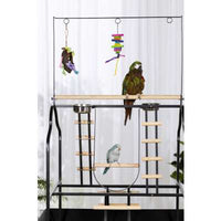 Prevue Pet Products Large Parrot Playstand-Bird-Prevue Pet Products-PetPhenom