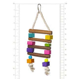 Prevue Pet Products Chow-Bird-Prevue Pet Products-PetPhenom