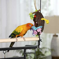 Prevue Pet Products Mr. Bean-Bird-Prevue Pet Products-PetPhenom