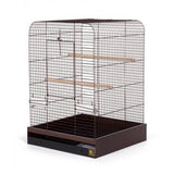 Prevue Pet Products The Madison Bird Cage - Copper-Bird-Prevue Pet Products-PetPhenom