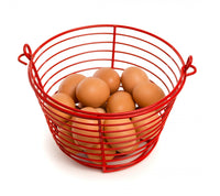 Prevue Pet Products Egg Basket 8 inch diameter-Chicken-Prevue Pet Products-PetPhenom