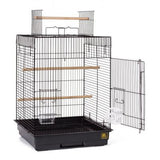 Prevue Pet Products Cockatiel Playtop Bird Cage - Black-Bird-Prevue Pet Products-PetPhenom