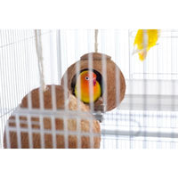 Prevue Pet Products Double Coconut w/ Ladder-Bird-Prevue Pet Products-PetPhenom