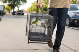Prevue Pet Products Travel Carrier-Bird-Prevue Pet Products-PetPhenom