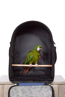 Prevue Pet Products Backpack Bird Travel Carrier-Bird-Prevue Pet Products-PetPhenom