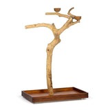 Prevue Pet Products Coffeawood Tree Style # 2 Floor Stand Large-Bird-Prevue Pet Products-PetPhenom