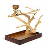 Prevue Pet Products Coffeawood Tree Mini Table Top Small-Bird-Prevue Pet Products-PetPhenom