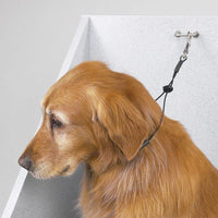 Top Performance Cable Grooming Loop -15"-Dog-Top Performance-PetPhenom